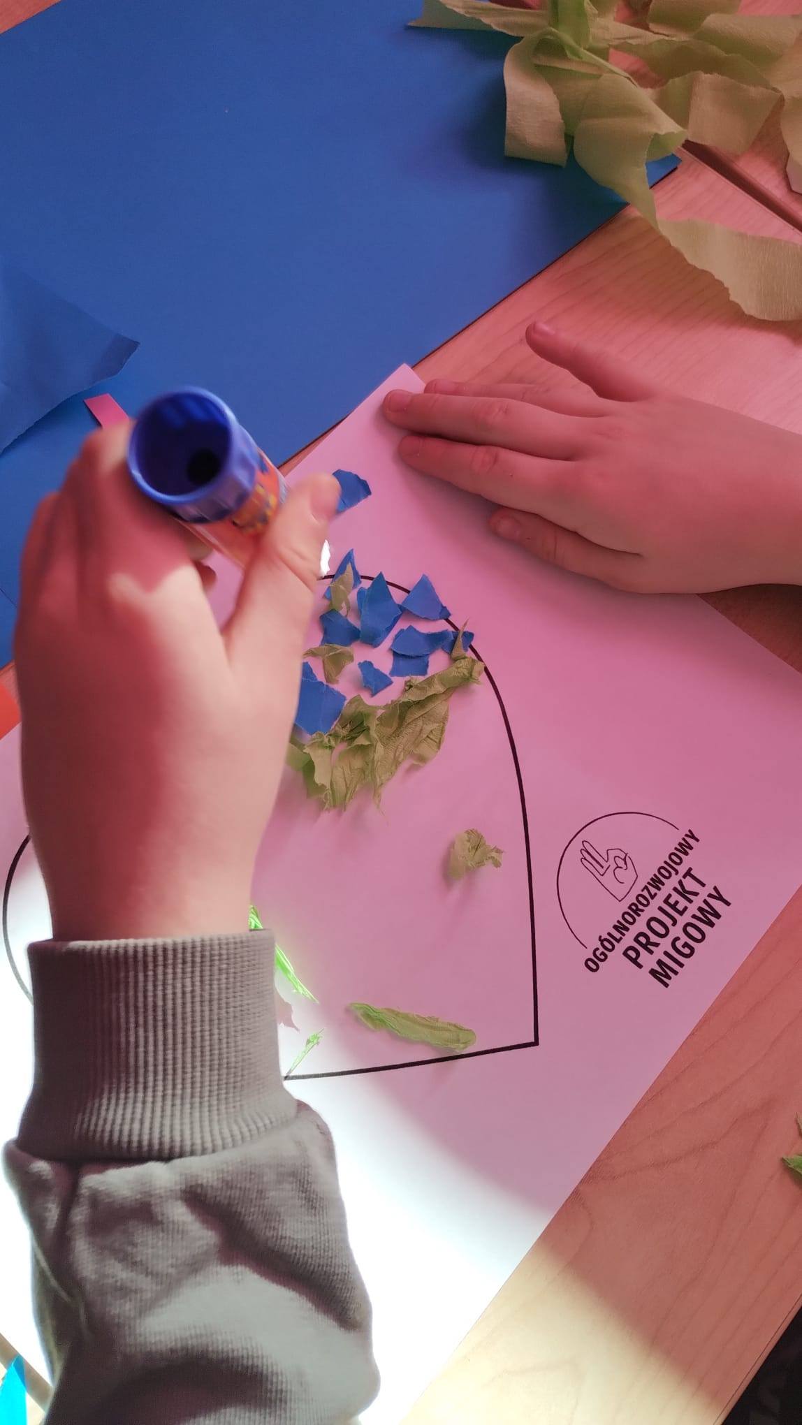 Ogólnorozwojowy Projekt Migowy